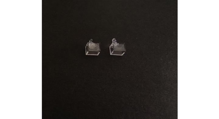 5×5×7mm原子气室