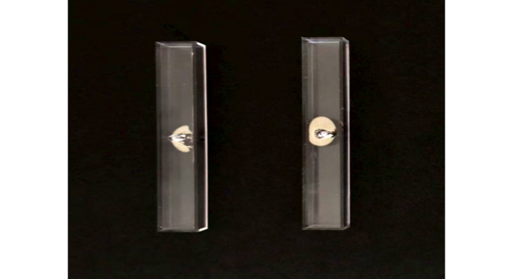 10×10×100mm原子气室